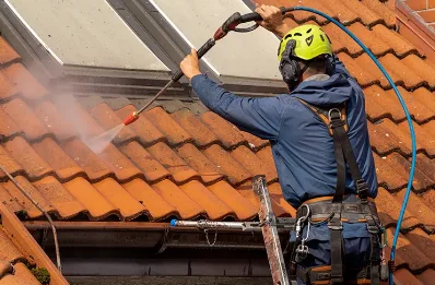Démoussage et hydrofuge de toiture à Mendive